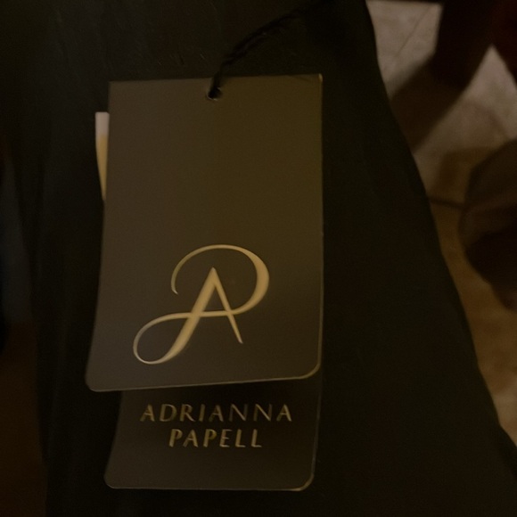 Adrianna Papell beaded embroidered gown size 12 navy maxi dress - Picture 4 of 9